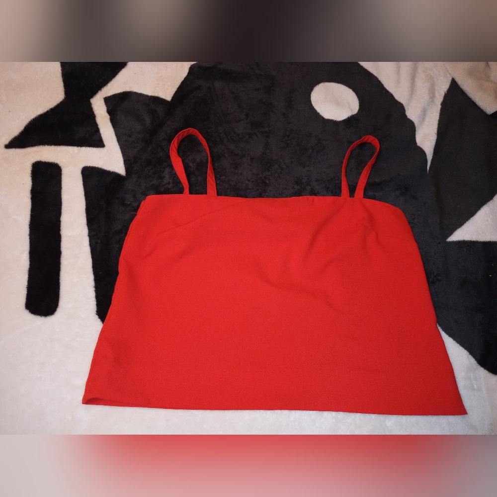 Homemade red crop top